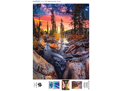 1000 Piece Jigsaw Puzzle for Adults Challenging Puzzle Perfect for Game Nights